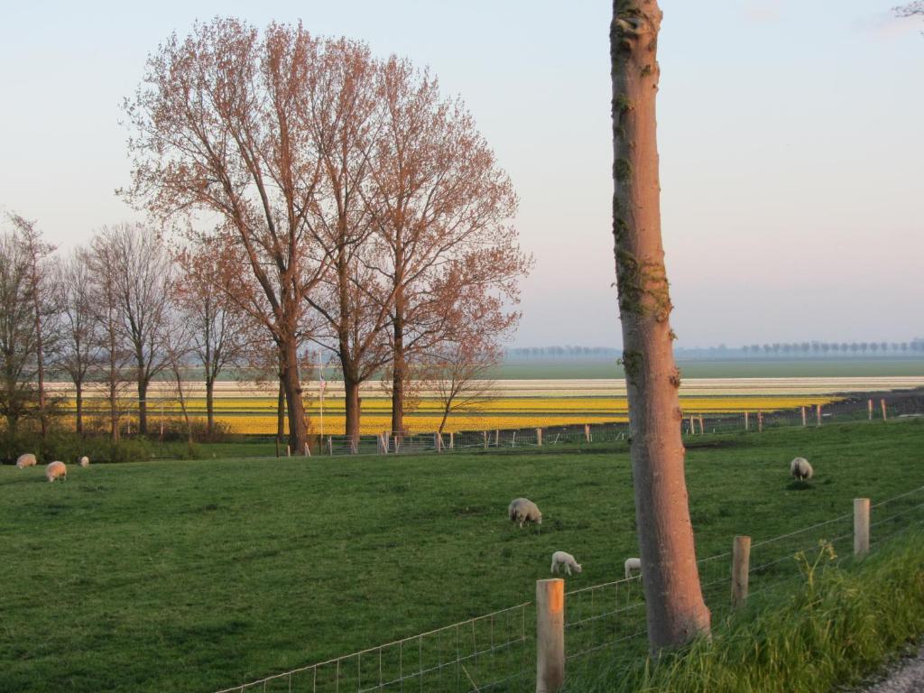 Bed En Breakfast In Het Fruit Zuidoostbeemster Kültér fotó